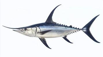 vivid portrayal showcases a swordfish gracefully gliding emphasizing its streamlined body elongated bill and distinct fin structure reflective of its oceanic environment. photo