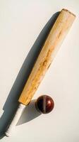 cricket bat and ball are positioned next to each other on a white surface highlighting the intricate wood grain and leather texture under natural lighting creating a minimalist appeal. photo