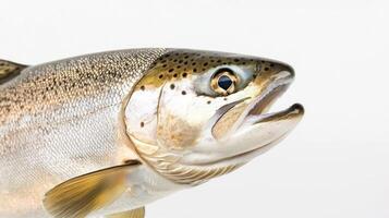 Atlantic Salmon displays intricate details and vibrant colors against a pure white background highlighting its unique features and characteristics. photo