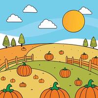 Pumpkin patch on sunny Autumn day. Beautiful fall scene. vector
