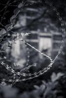 Vertical close-up of barbed wire arranged in a circular shape photo