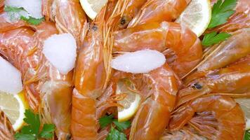Raw red shrimps, frozen prawn with ice cubes, fresh lemon and parsley. View from above video