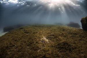 A view of the ocean from under the water photo