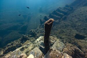 A rusty piece of wood is sitting on the bottom of the ocean photo