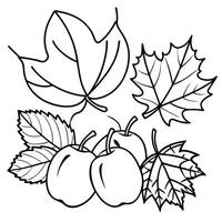 Autumn leaves and autumn fruits on white background with copy space vector