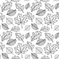 Line art pattern with different leaves. vector
