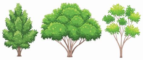 Cartoon tree set, collection of trees, natural tree plant design element vector