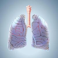 3D image of human lungs, a future machine that can replace real human lungs. vector