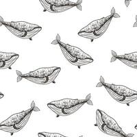 Seamless pattern with hand drawn whales. illustration in sketch style. vector