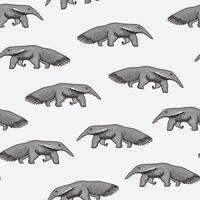 Seamless pattern with hand drawn anteater. illustration. vector