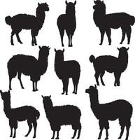 Silhouettes of llamas and alpacas vector