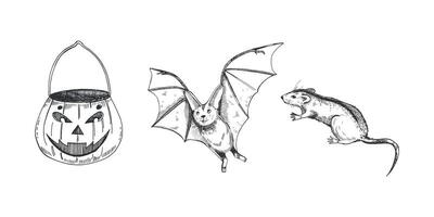 Bat, rat, pumpkin candy basket for Halloween. All objects are hand drawn in in black color. illustration for Halloween. Suitable for printing on cards, invitations, decor vector
