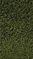 Green Hedge Botanic Pattern with Leafs background photo