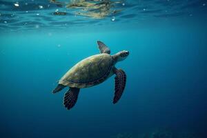 sea turtle in deep dark sea ocean photo