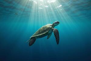 sea turtle in deep dark sea ocean photo