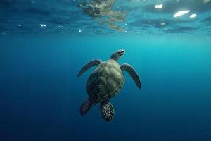 sea turtle in deep dark sea ocean photo