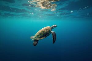 sea turtle in deep dark sea ocean photo
