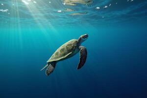 sea turtle in deep dark sea ocean photo