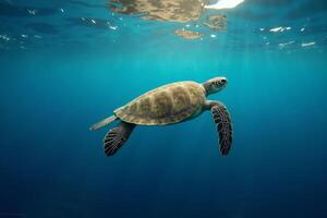sea turtle in deep dark sea ocean photo