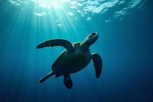 sea turtle in deep dark sea ocean photo