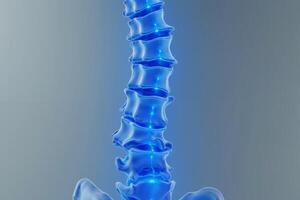 glowing x-ray back spine and neck bones, photo