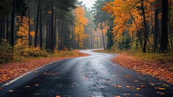 A work of art with the theme of autumn scenery. photo