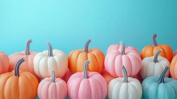 Small pumpkins in shades of orange White And pink photo