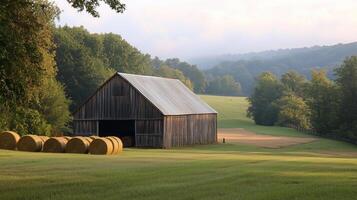 hay barn photography photo