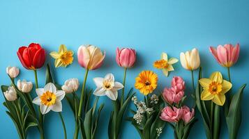 Pastel colored spring flowers tulips, daffodils, narcissus. photo