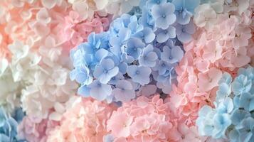 Close-up of pastel blue, pink, and white flowers on wall photo