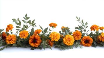 Marigold flowers garland isolated on white background photo