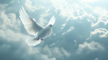 sky funeral background including a white dove and text copy space photo