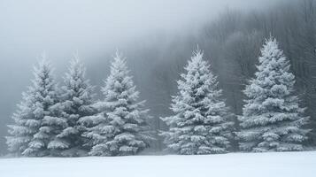 A serene winter landscape featuring snow-covered trees photo