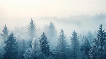 A serene winter landscape featuring snow-covered trees photo