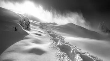 deep snow season photo