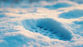 snowball footprint. snow winter footprints photo
