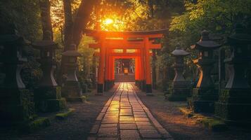 A deserted Shinto shrine with vibrant red torii gates and stone lanterns photo