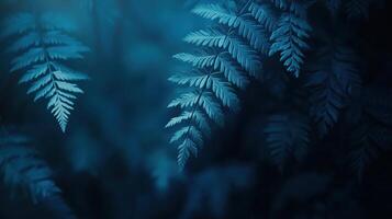 Moody Close-Up of Fern Leaves in a Dark Forest, Deep Green and Blue Tones photo
