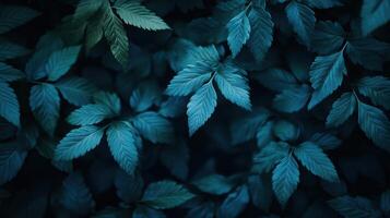 Moody Close-Up of Fern Leaves in a Dark Forest, Deep Green and Blue Tones photo