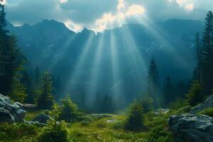 Sunlit Mountain Landscape with Pine Forest and Dramatic Sky for Tranquil Nature Scenes photo