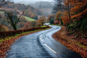 Winding Autumn Road Through Misty Forest Hills for Scenic Landscape Photography photo