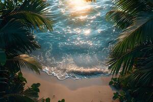 Serene Tropical Beach Sunset with Sparkling Ocean Waves and Lush Palm Trees photo