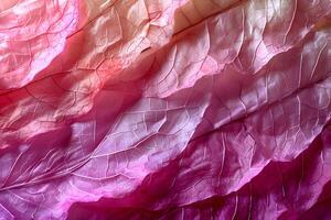 A close up of a leaf with a pink and white pattern photo