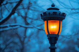 A street light with a tree in the background photo