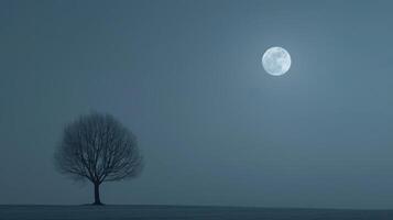 A lone tree stands in the middle of a snowy field photo