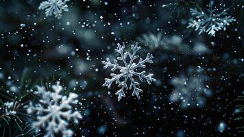 Snowflakes are falling on a dark background photo