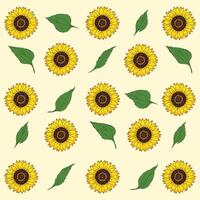 Sunflower pattern isolated on white background vector