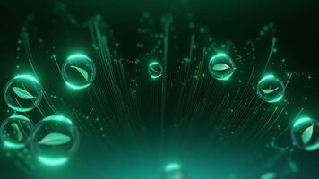 A green background with many bubbles and leaves video