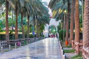 Palm trees line the walkway in front of a gate photo