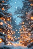 Enchanting winter pathway lined with snow covered trees illuminated by festive lights photo